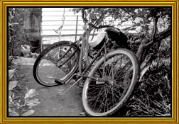 What To Do While You're Here