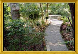 Backyard Wildlife Habitat