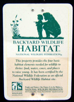 Backyard Wildlife Habitat