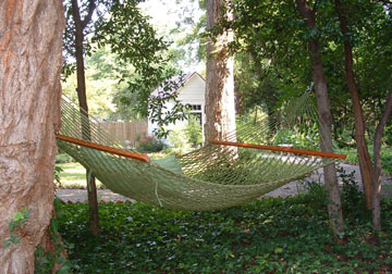 Hammock