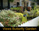 Butterfly Garden